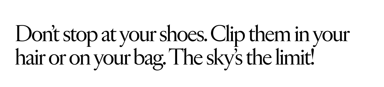 Shoe Clips