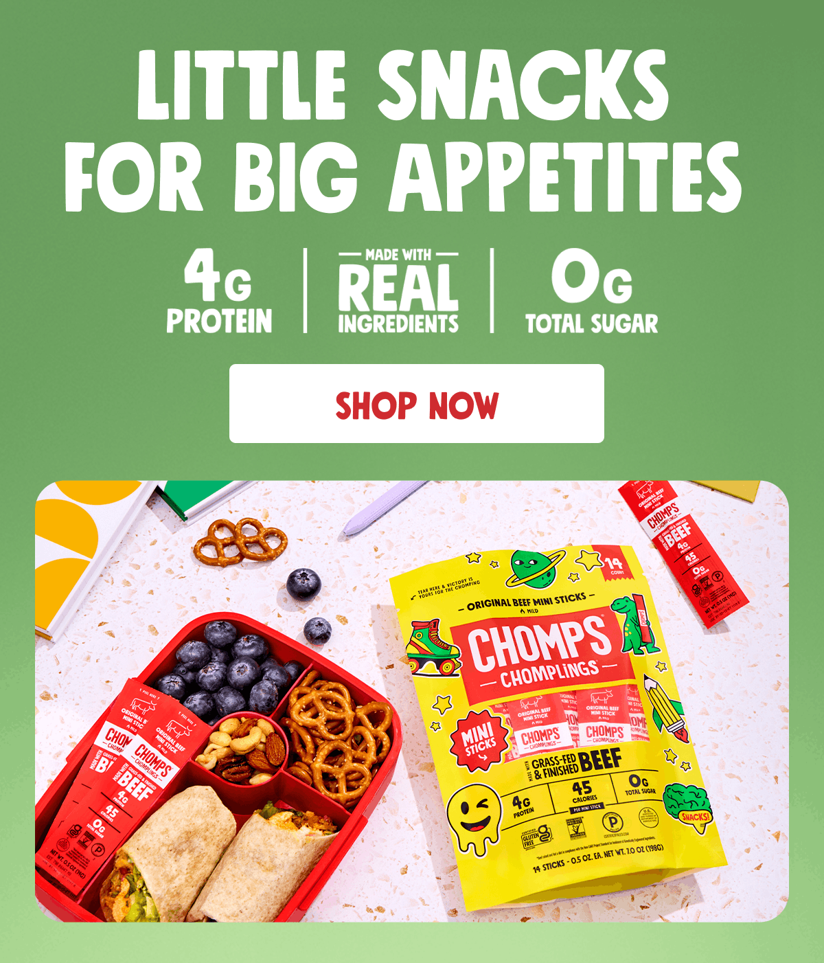 Little Snacks For Big Appetites | 4g Protein, Made with Real Ingredients, 0g Total Sugar | Shop Now