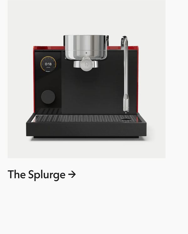 The Splurge