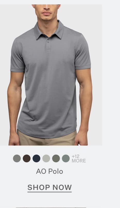 AO Polo