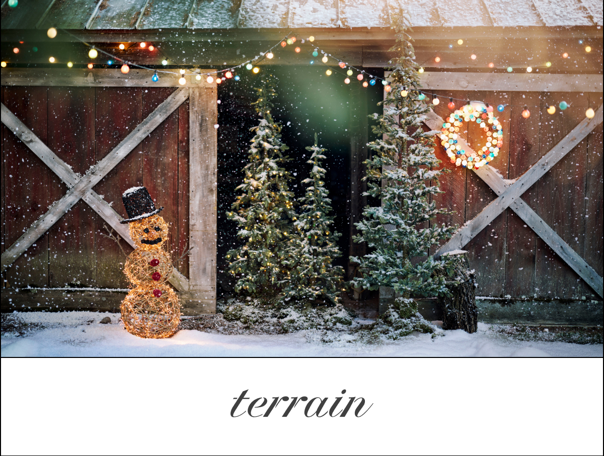 Terrain