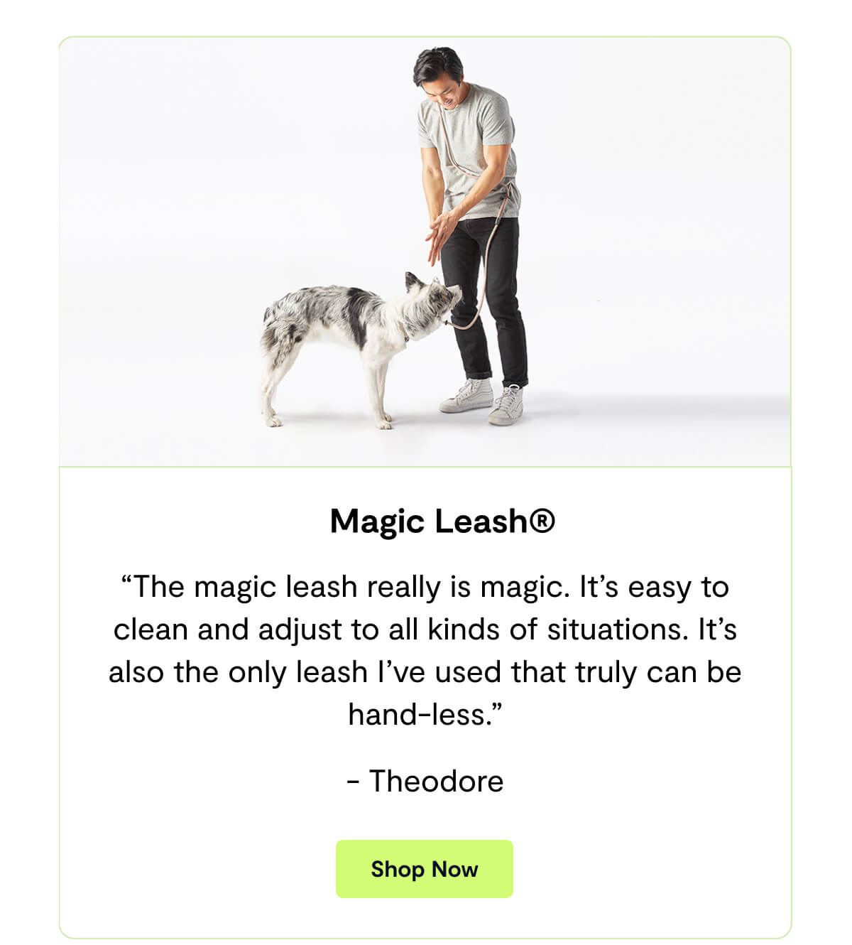 Magic Leash&reg;. &ldquo;The magic leash really is magic. It&rsquo;s easy to clean and adjust to all kinds of situations. It&rsquo;s also the only leash I&rsquo;ve used that truly can be hand-less.&rdquo; - Theodore. Shop Now