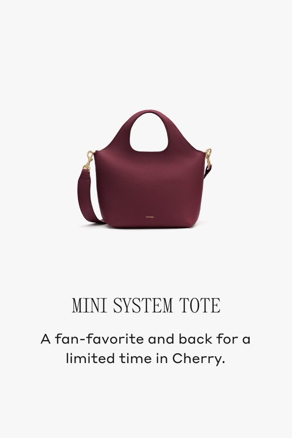 MINI SYSTEM TOTE A fan-favorite and back for a limited time in Cherry.