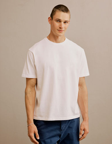 AE Standard Fit Lived-In T-Shirt