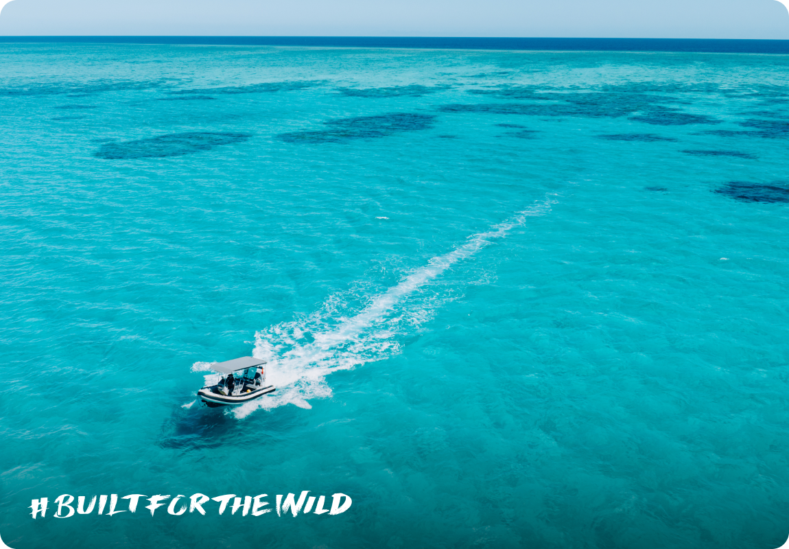 Built For The Wild