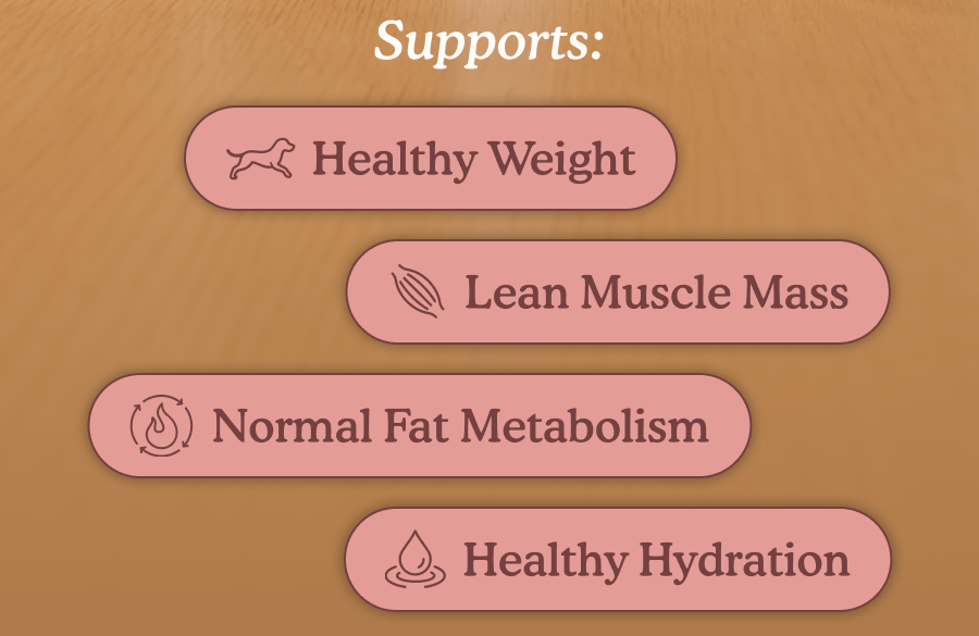 Supports: Healthy Weight, Lean Muscle Mass, Normal Fat Metabolism, Healthy Hydration