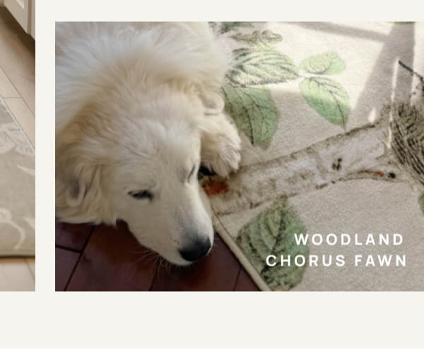 Woodland Chorus Fawn | Save 10%