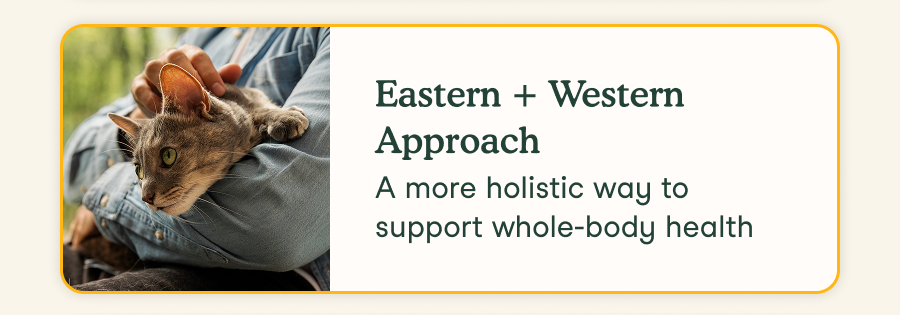 Eastern + Western Approach
