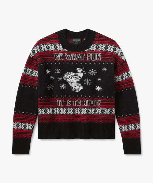 11th_img_OhWhatFunItIsToRideSweater