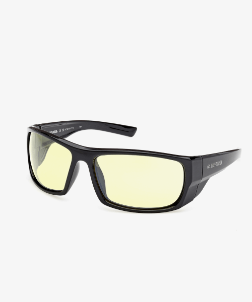 7th_img_WinbornSunglasses