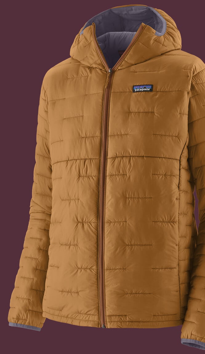 Men's Micro Puff&reg; Hoody
