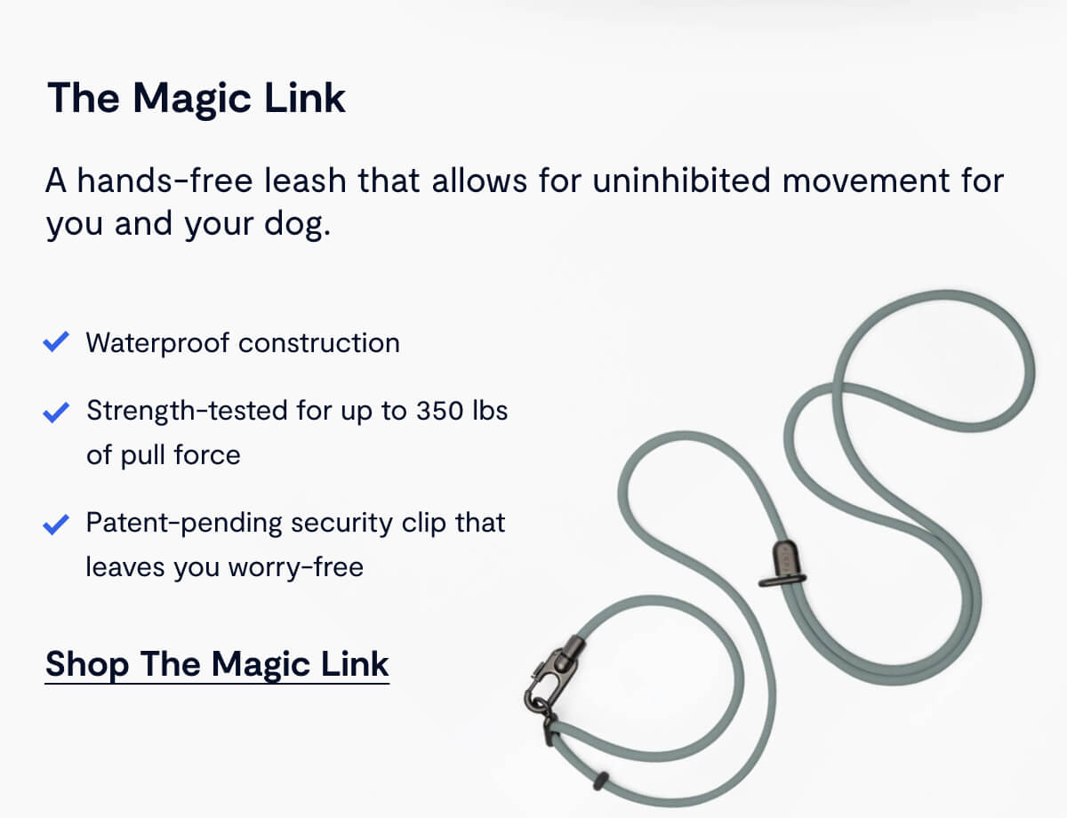 Shop The Magic Link