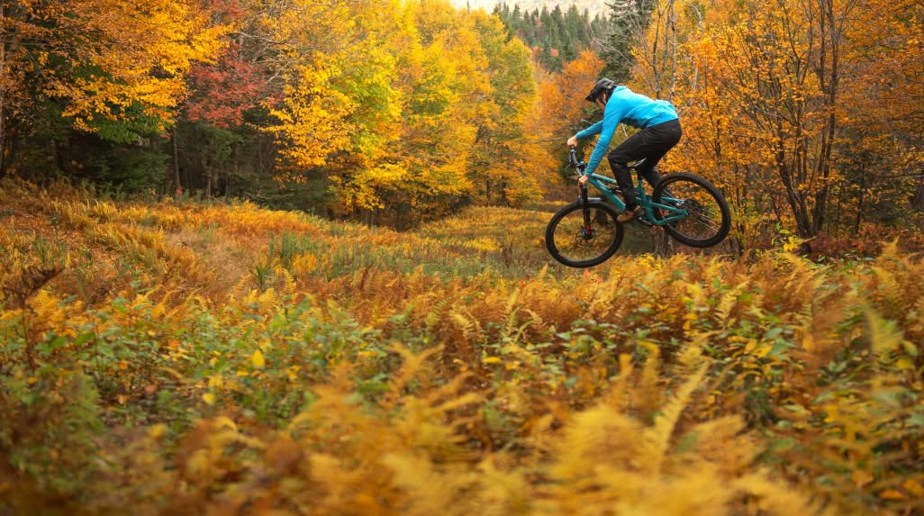 A person catches air on a mountain bike while riding through fall foliage.