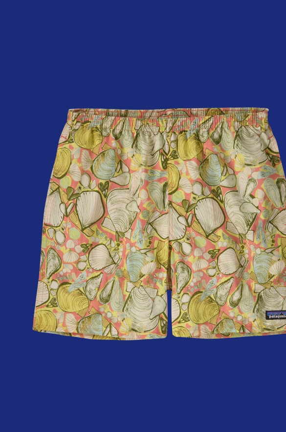Men's Baggies&trade; Shorts - 5"