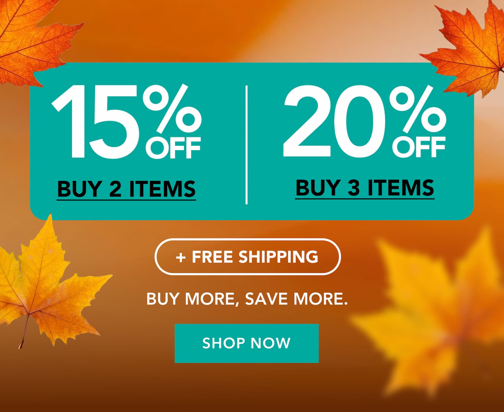 BUY MORE SAVE MORE