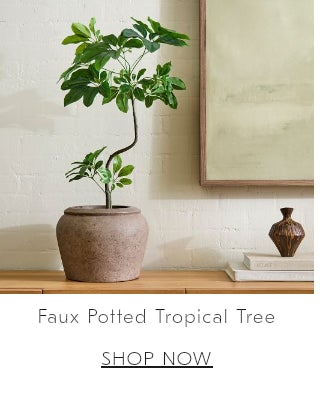 Display images to show real-time content