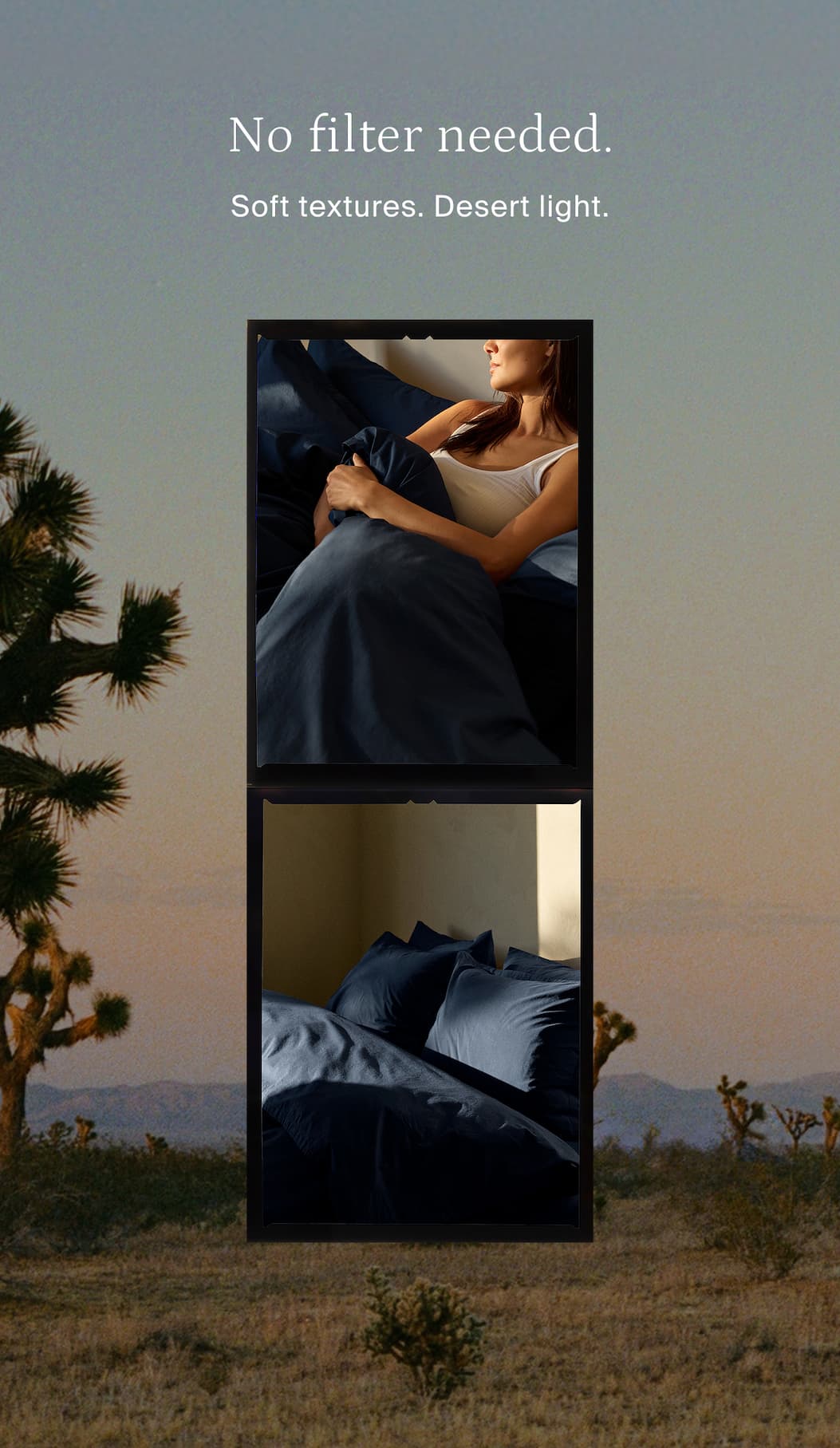 no filter needed, soft textures & desert light