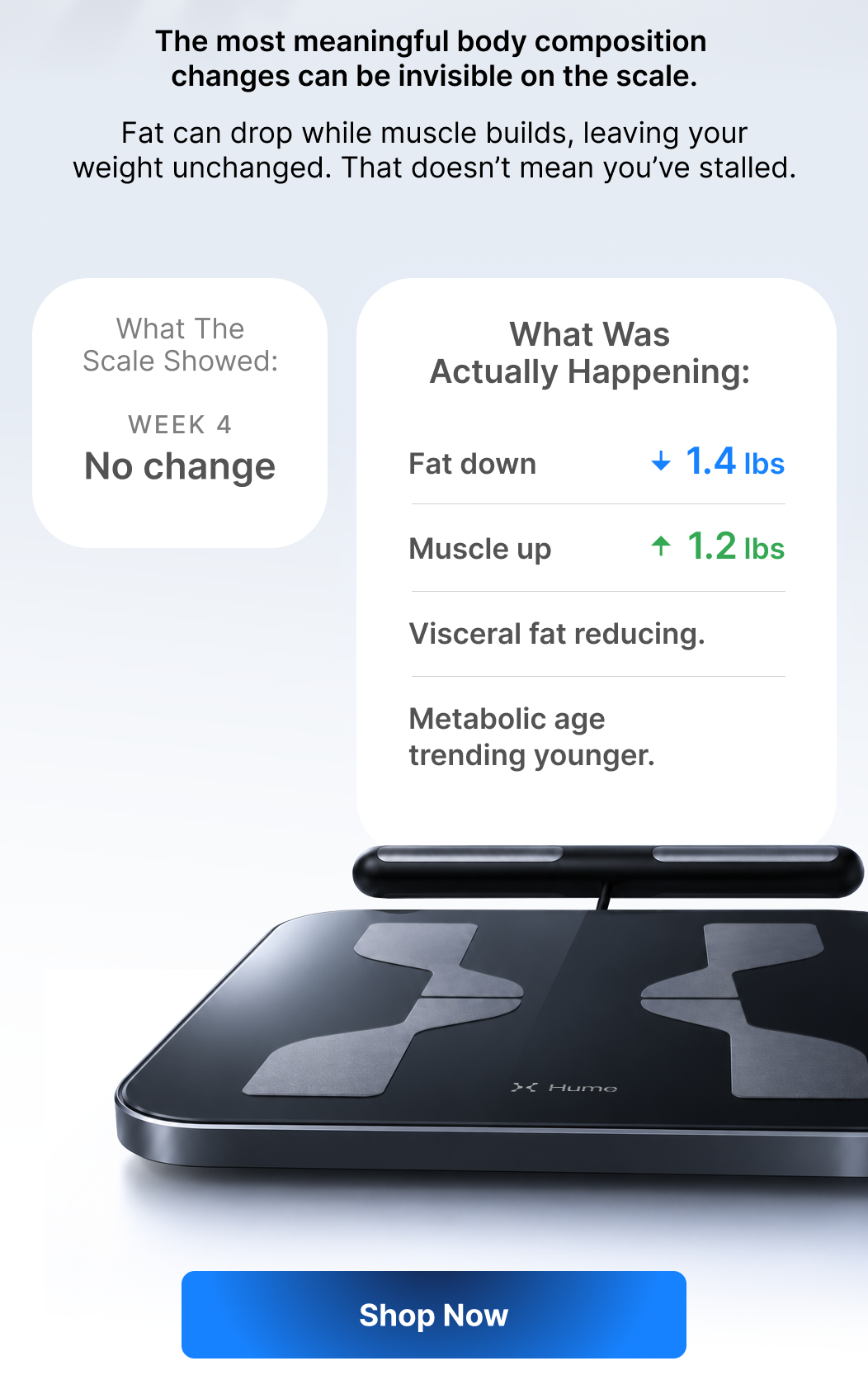 The scale said no change, but fat was dropping and muscle was building the whole time.