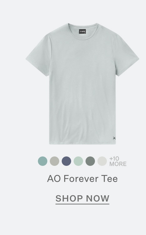 AO Forever