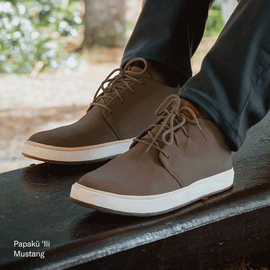 Fall Favorites