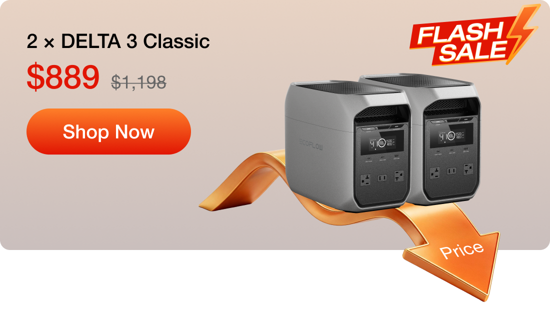 2 &times; DELTA 3 Classic