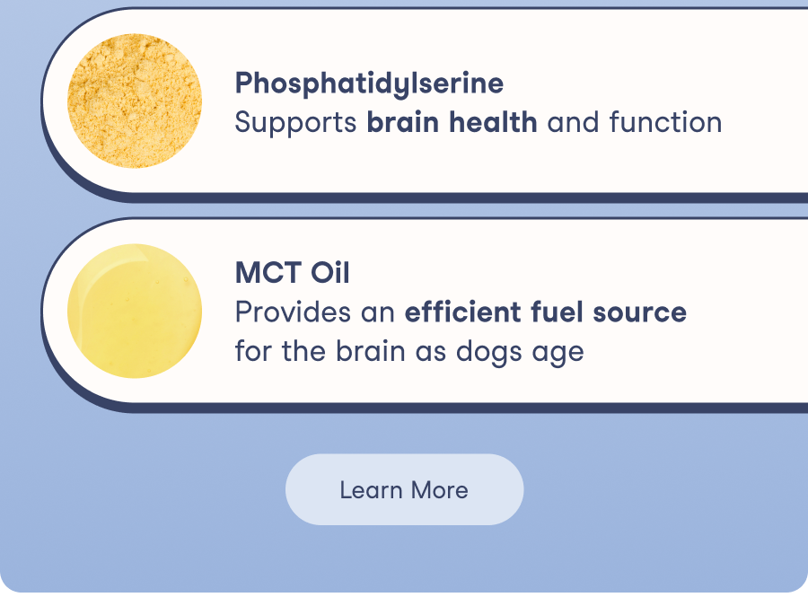 Learn More