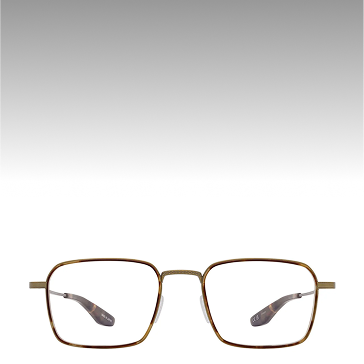 Wiltshire in Antique Gold
