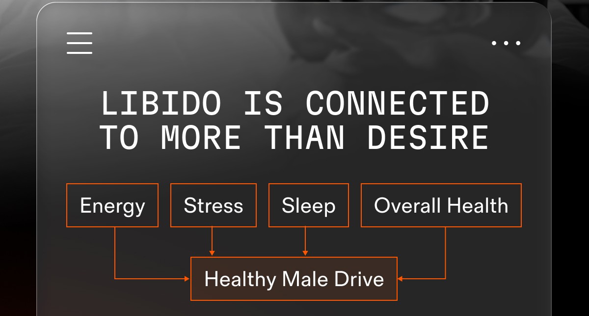 LIBIDO IS CONNECTED TO MORE THAN DESIRE