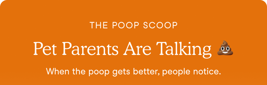 The Poop Scoop