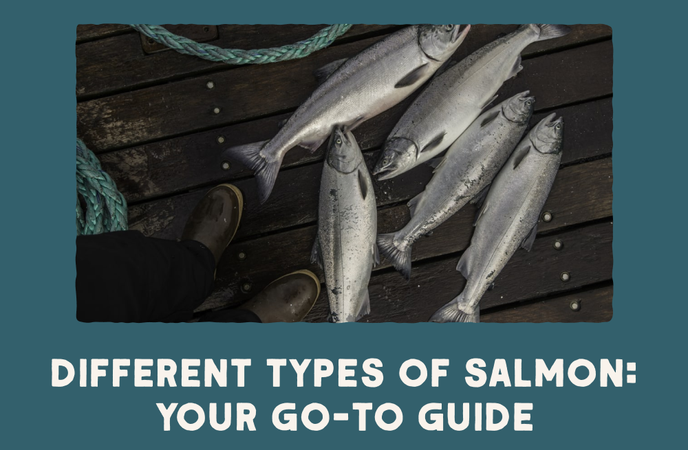 Different Types of Salmon: Your Go-to guide