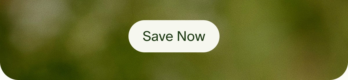 Save Now