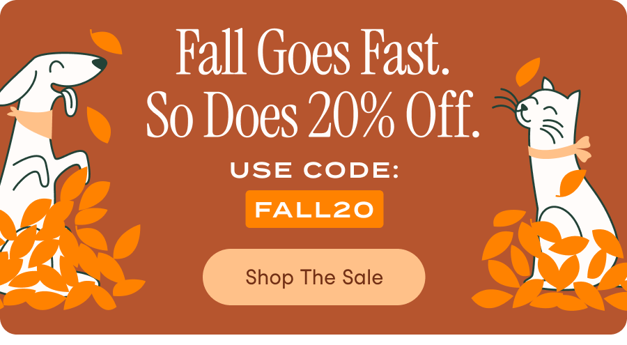 Fall Goes Fast. So Does 20% Off.