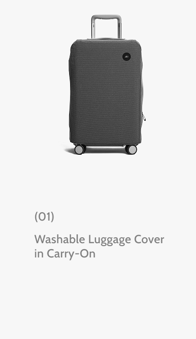 (01) Washable Luggage Cover in Carry-On.