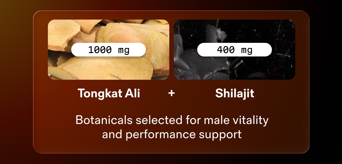 Botanicals selected for male vitality and performance support