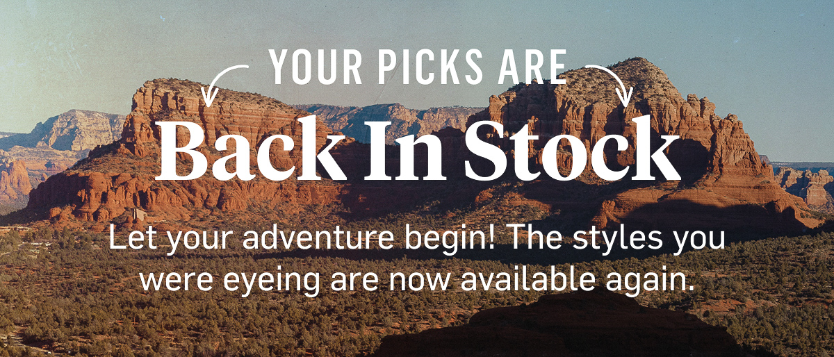 Back In Stock
