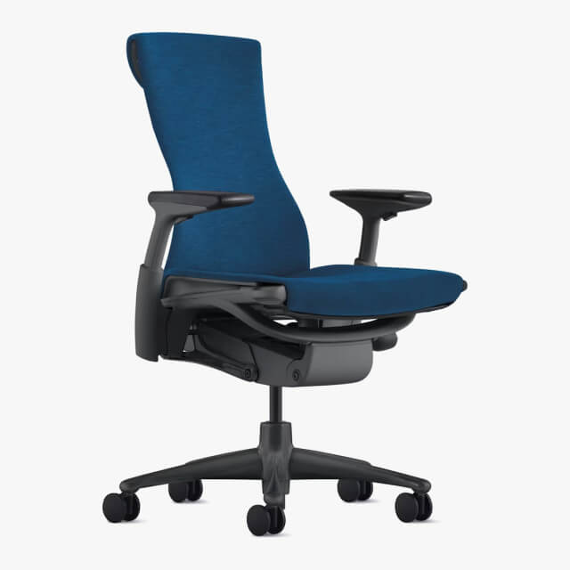 View Embody Chair