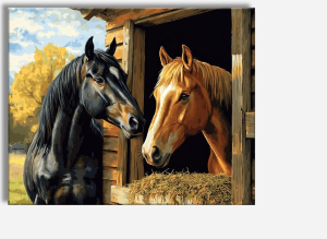 Stable Companion