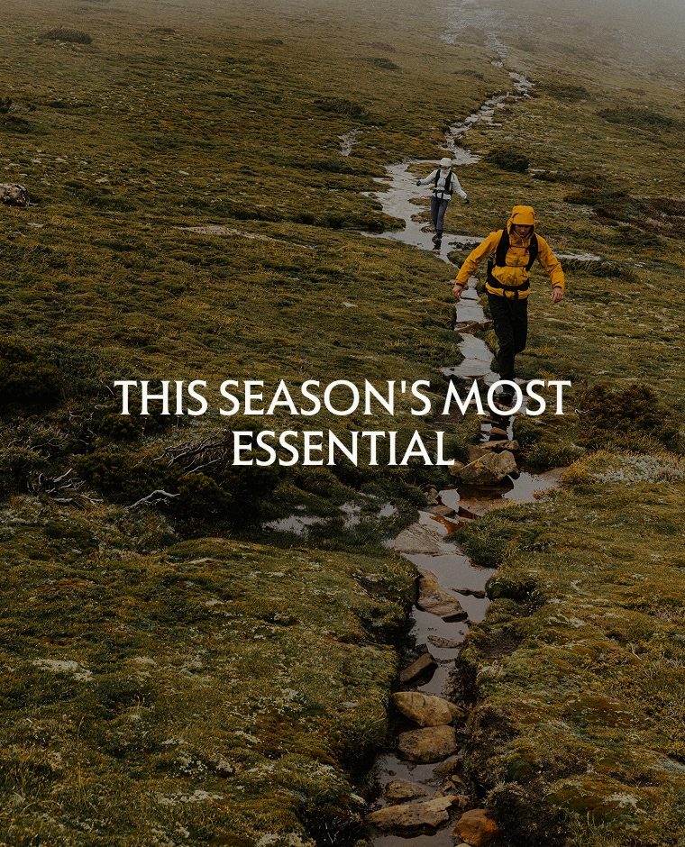 This season's most essential