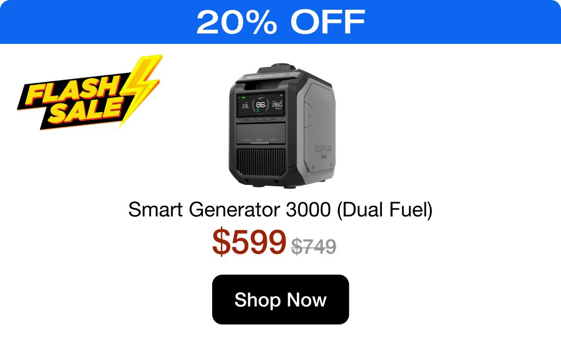 Smart Generator 3000 (Dual Fuel)