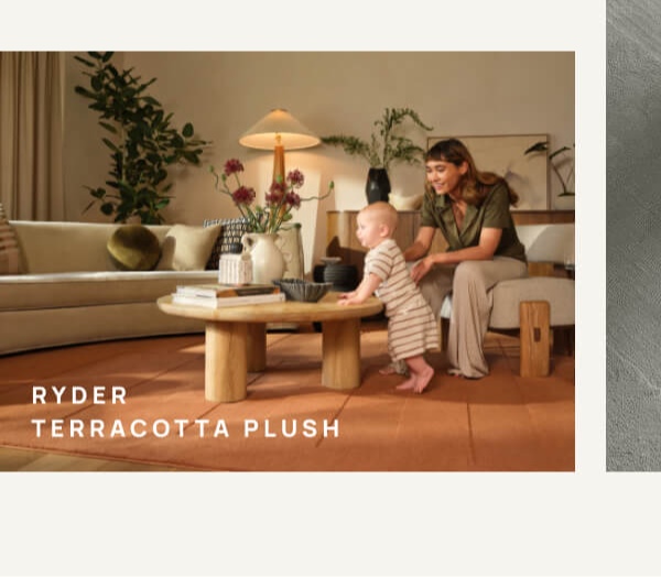 Ryder terracotta plush | Save 10% 