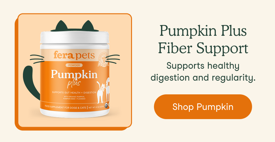 Pumpkin Plus Fiber Support