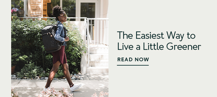Carbon Offsetting &mdash; The Easiest Way to Live a Little Greener