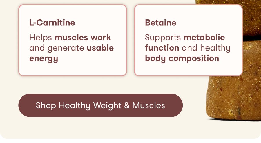 Four targeted ingredients. Two clinically studied. One daily supplement built to support a strong, healthy body.
