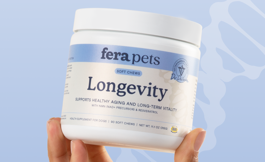 Longevity Soft Chews bring healthy aging to your dog&rsquo;s daily routine, with targeted support for cellular energy, cognitive health, and long term vitality.