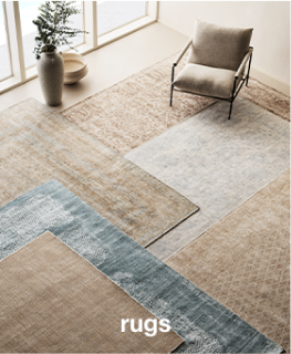 Shop Rugs