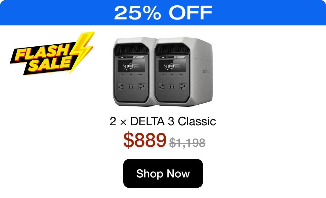 2 &times; DELTA 3 Classic