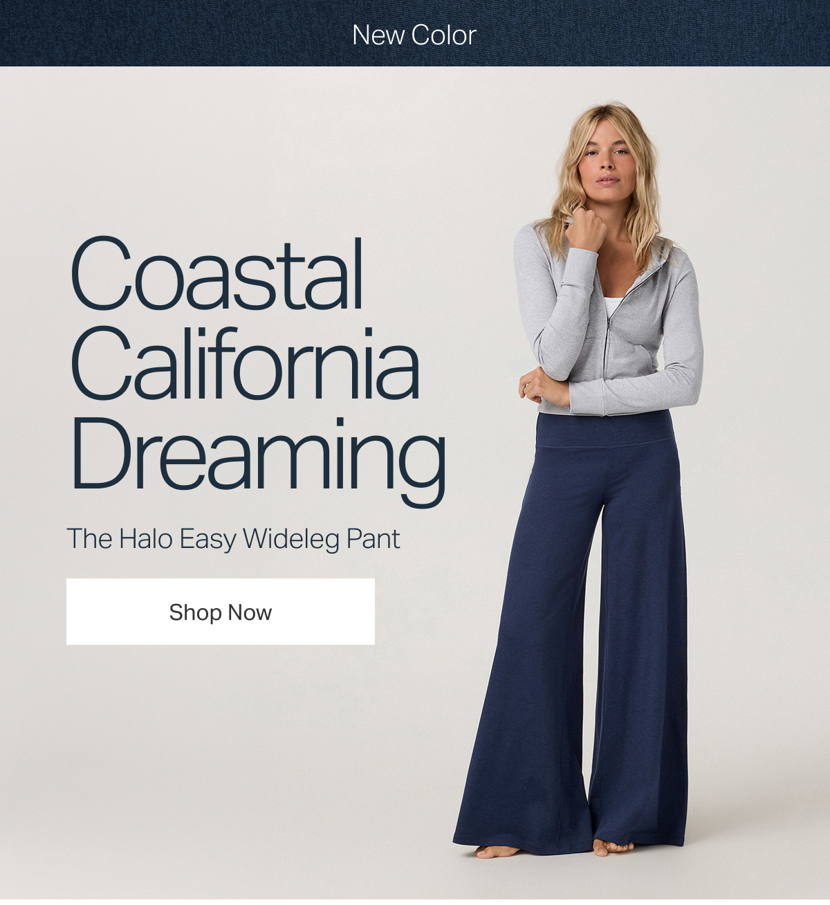New Color: The Halo Easy Wideleg Pant