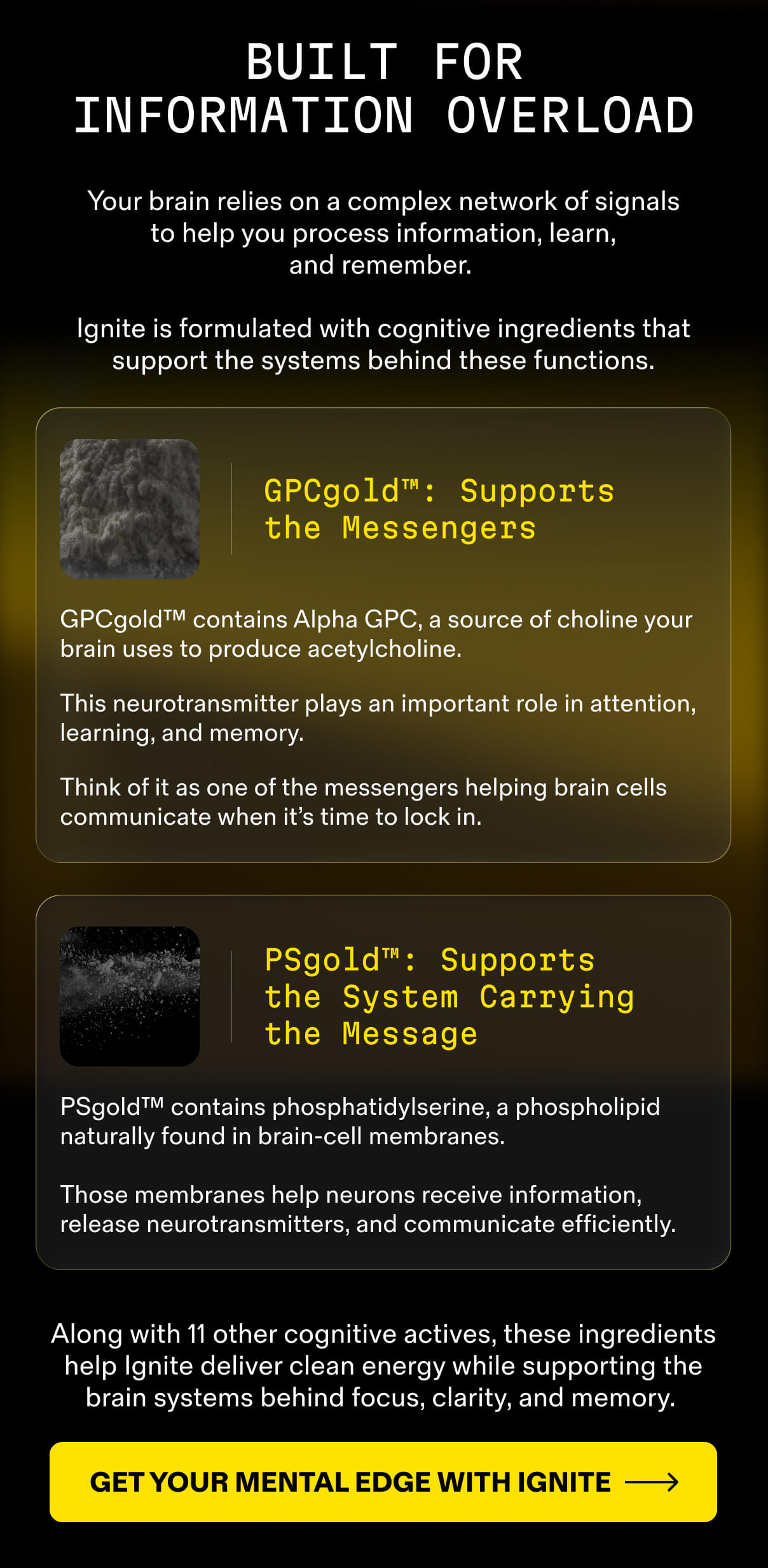 Built for information overload: GPCgold, PSgold, and 11 more cognitive actives. Get your mental edge with Ignite.