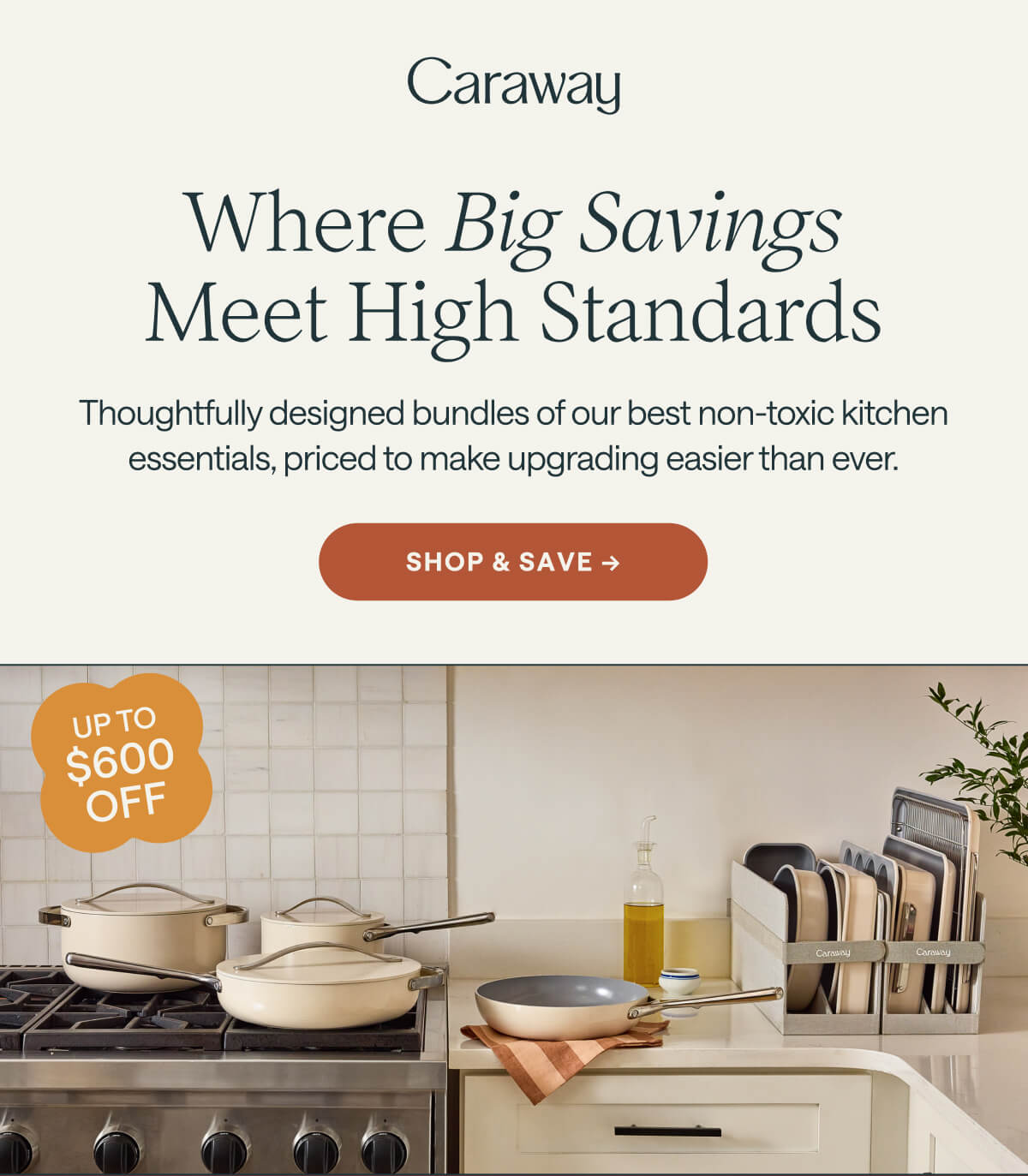 Where Big Savings Meet High Standards | Shop & Save 
