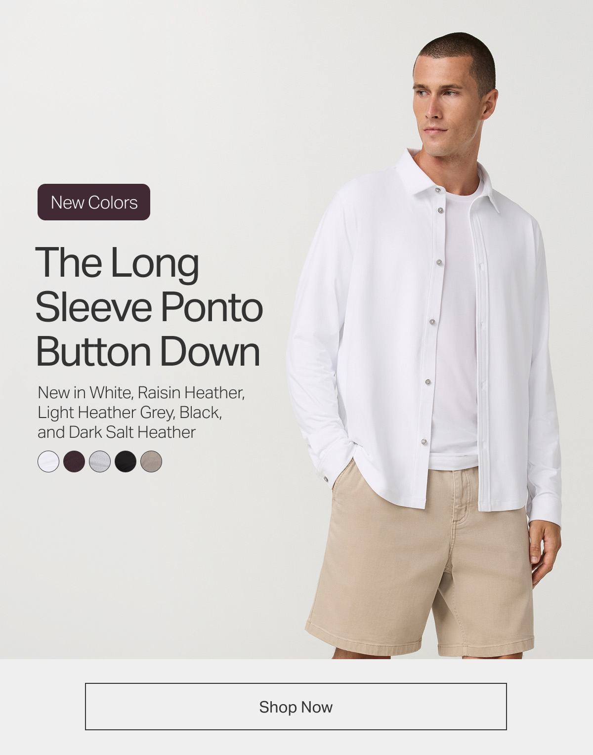 New Colors: The Long Sleeve Ponto Button Down